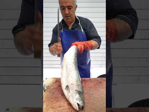 Cutting Salmon Like