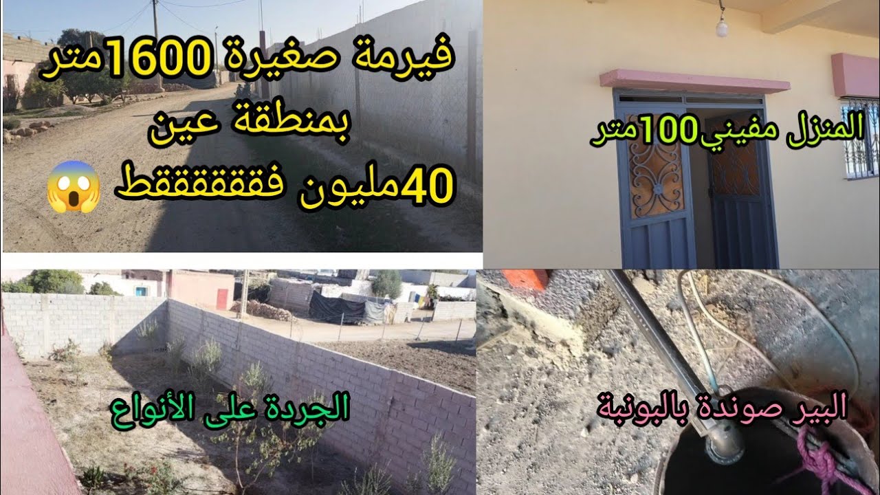 فيرمة صغيرة روعة دخل وسكن بالدار والبير والجردة 