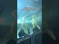 大宇宙の無限愛 バキバキストロボ&落ちサビVer.꒰ᐢ ́• ·̭ •`ᐢ꒱ノホヤマミレ2026 SHIBUYA DIVEでゆふぃ丸ちゃんと大宇宙の無限愛でコラボしたざ⭐︎#坂井ほや丸 #寺嶋由芙
