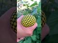 #reelschallenge