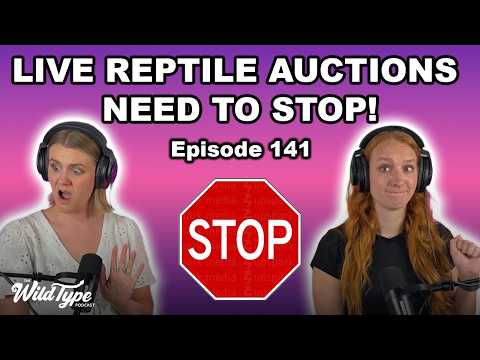 Our Thoughts on Live Reptile Auctions | Episode 141