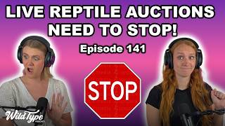 Our Thoughts on Live Reptile Auctions | Episode 141