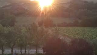 Drone edit | Toskana | Italy | dji tello ryze