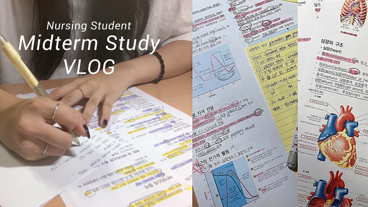 (eng)🫀생리학? 너 누군데? 중간고사 2주 남은 간호대생 | 바이러스 26개 외우기 | 레전드 벼락치기 | Korean Nursing Student Vlog | 시험기간