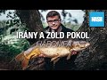 48 Óra a ZÖLD POKOLBAN 😳🎣 - Rövid Pontyhorgászat Háromfán🌲