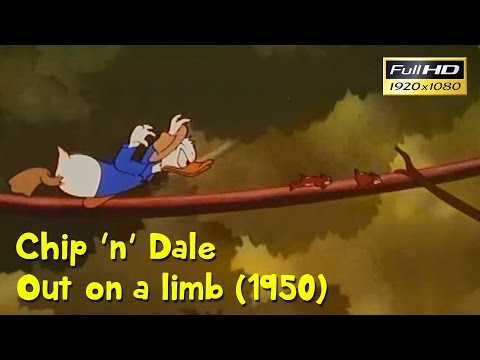 CHIP N DALE OUT ON A LIMB 1950 FULL HD 