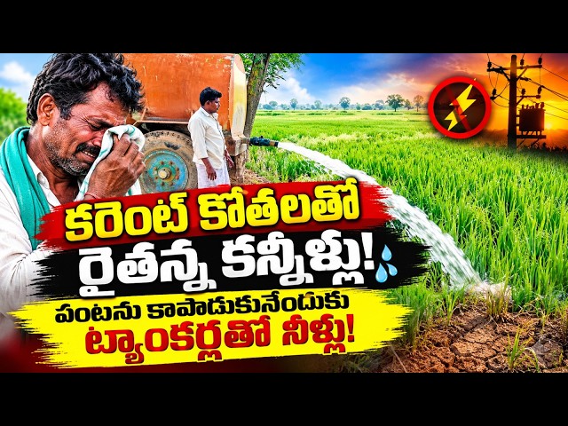 కరెంట్ కోతలతో రైతన్న కన్నీళ్లు! పంటను కాపాడుకునేందుకు ట్యాంకర్లతో నీళ్లు!..|TS24 News