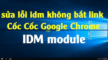 sửa lỗi idm không bắt link Cốc Cốc Google Chrome  - IDM module