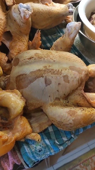 Кобб 500.62 дня #дача #деревня #garden #бройлер #бройлеры #chicken # ...