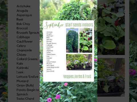 Video: Regionální zahradní práce: Co dělat na zářijové zahradě