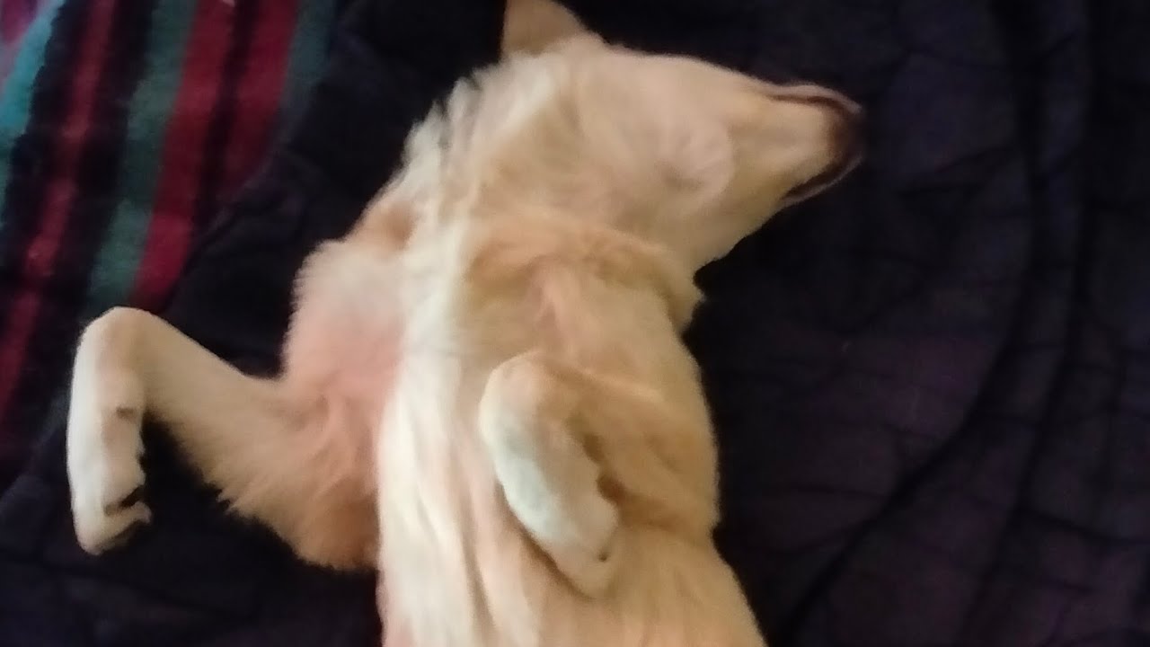 1stteen -Mbia (Freestyle)