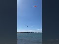 Кайт Нэш Пивот naish pivot kite