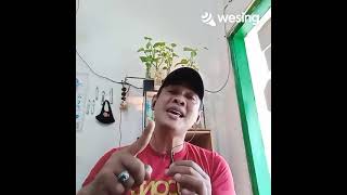 Download Lagu HATIKU BUKAN BATU / Iis.D  - Tribrata S@ng Rajawali.... MP3