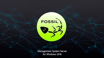 Fossil Management System Server for Windows 2016 on Azure