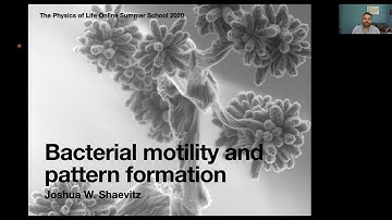 June 15, 2020: The Physics of Life. Bacterial motility and pattern formation