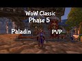 WoW Classic Paladin PVP/Phase 5 montage