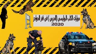 مهارات الكلب الحربي في قفز الحواجز 2020 MILITARY DOG SKILLS