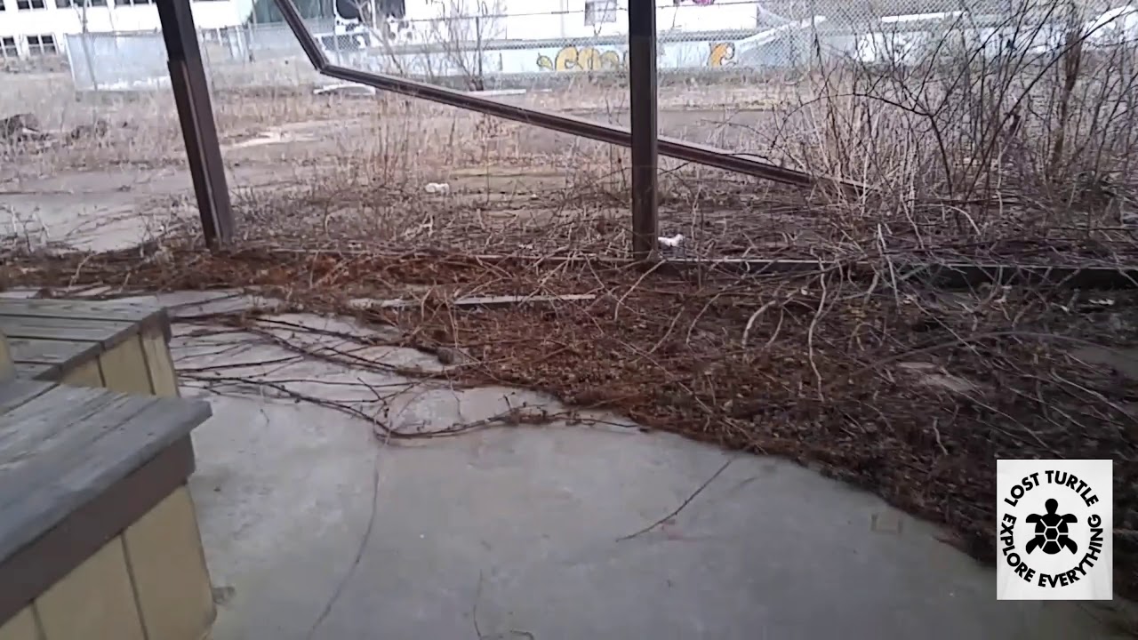 Honowack Lodge Mamaking NY. Birthday explore.