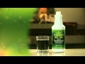 Liquid Chlorophyll Synergy Manfaat klorofil Synergy 