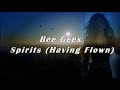 Bee Gees Spirits Having Flown Lyrics mp3