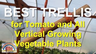 Fast, Easy, Cheap Garden Trellis for Tomato and Vertically Growing Plants