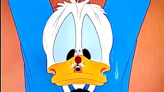 Donald Duck - Inferior Decorater Reversed