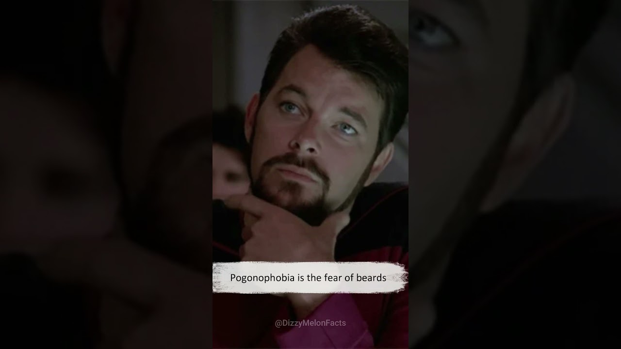 Pogonophobia is the fear of beards | 