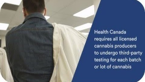 Cannabis Potency Testing