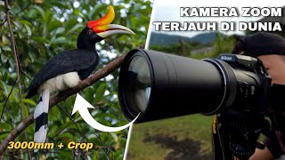 Wildlife Photography, Need 3000mm Lens to capture these wildlife | Wildlife Photography