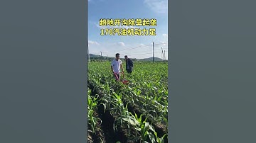 Mini Tiller Machine in Action | Powerful Farming Tool for Easy Soil Preparation part 832