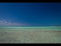 CAYO LARGO, CUBA - Everything you need to know