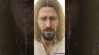 Dog Prays to God to Save a Fallen Mother Lion! Emotional Rescue #pets #jesus #faith