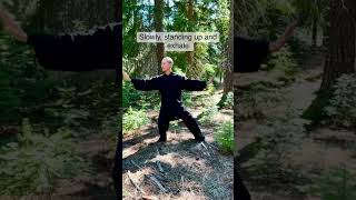 Qigong -8 Brocade 气功-八段锦左右开弓似射雕 Drawing the bow #taichi #chi #kungfu #meditation #qigong
