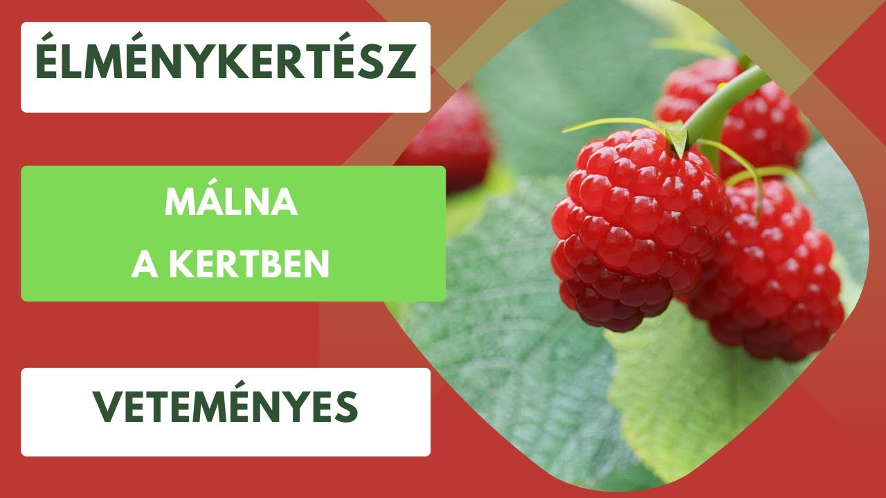 Málna a kertben🏡