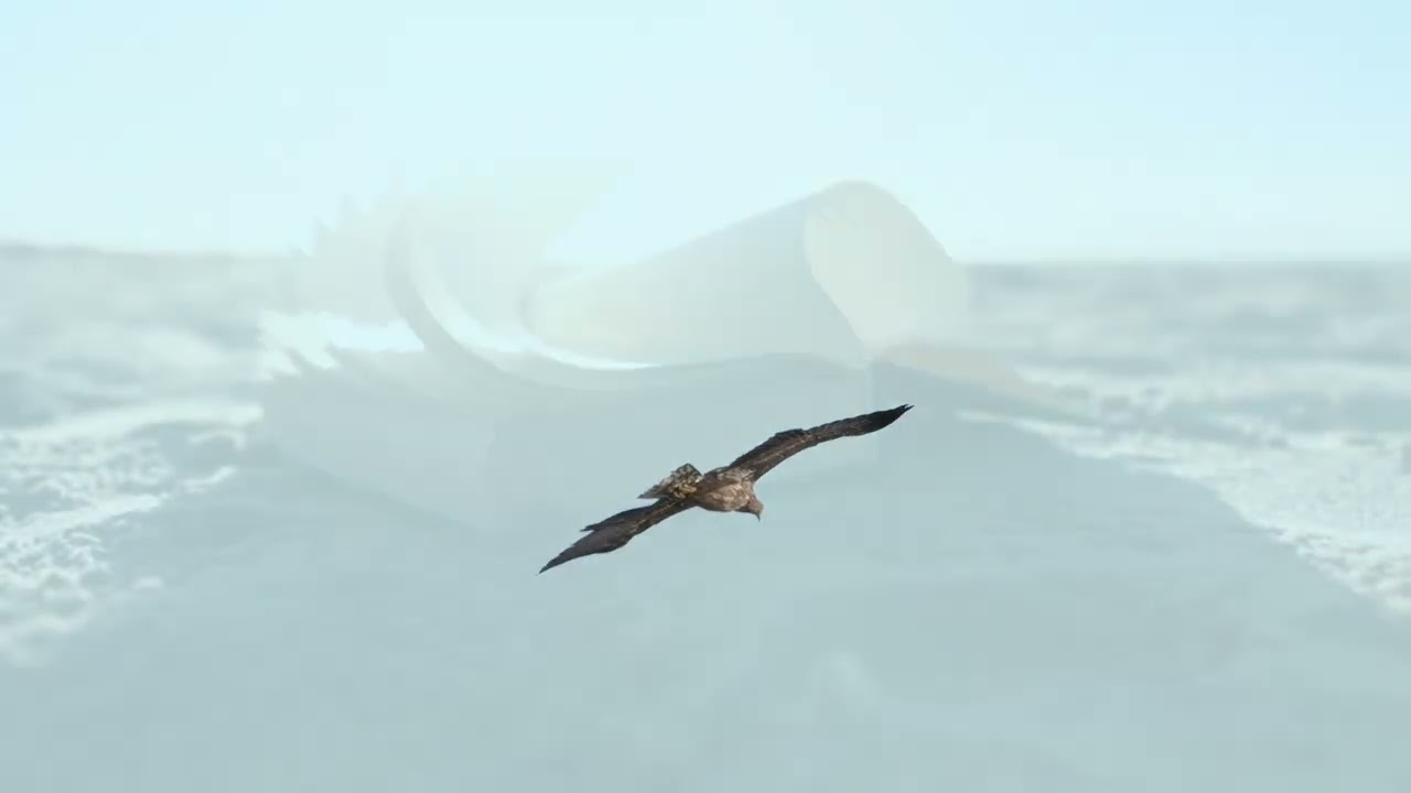 Lord of the Sky (Official HD Video)