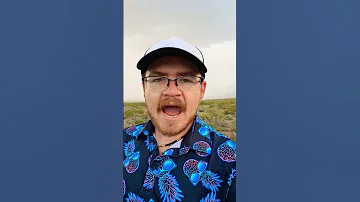 I May Be Dumb But I Have Some Great Stories 