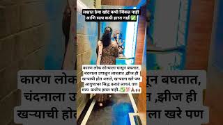            motivation viralshort shortsfeed shor