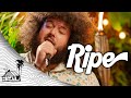 Ripe  downward live music  sugarshack sessions