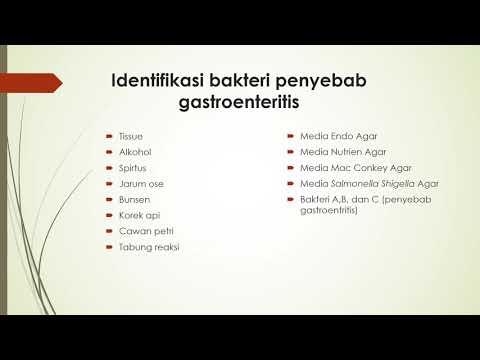 Identifikasi Bakteri Penyebab Gastroenteritis