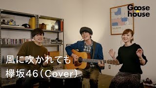 風に吹かれても／欅坂46（Cover） chords
