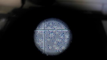 Inside the Scottish lab conducting research into the Omicron variant