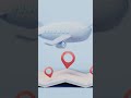 Best Flight Deals in 60 Seconds! #flight #shorts #traveldeals #flights #traveltips #cheaptravel