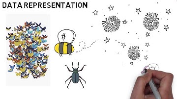 Data Representation - GCSE Computer Science Revision
