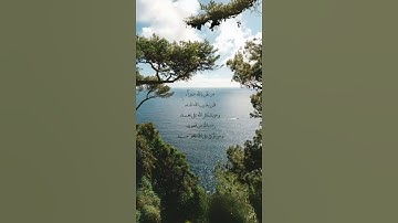 سورة الزمر #القران #المصحف #القران_الكريم #لايك #اكسبلور