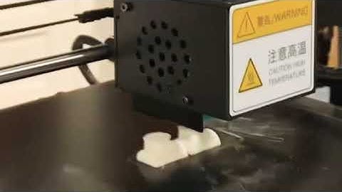 AnyCubic Time-Lapse Test Print - Owls!