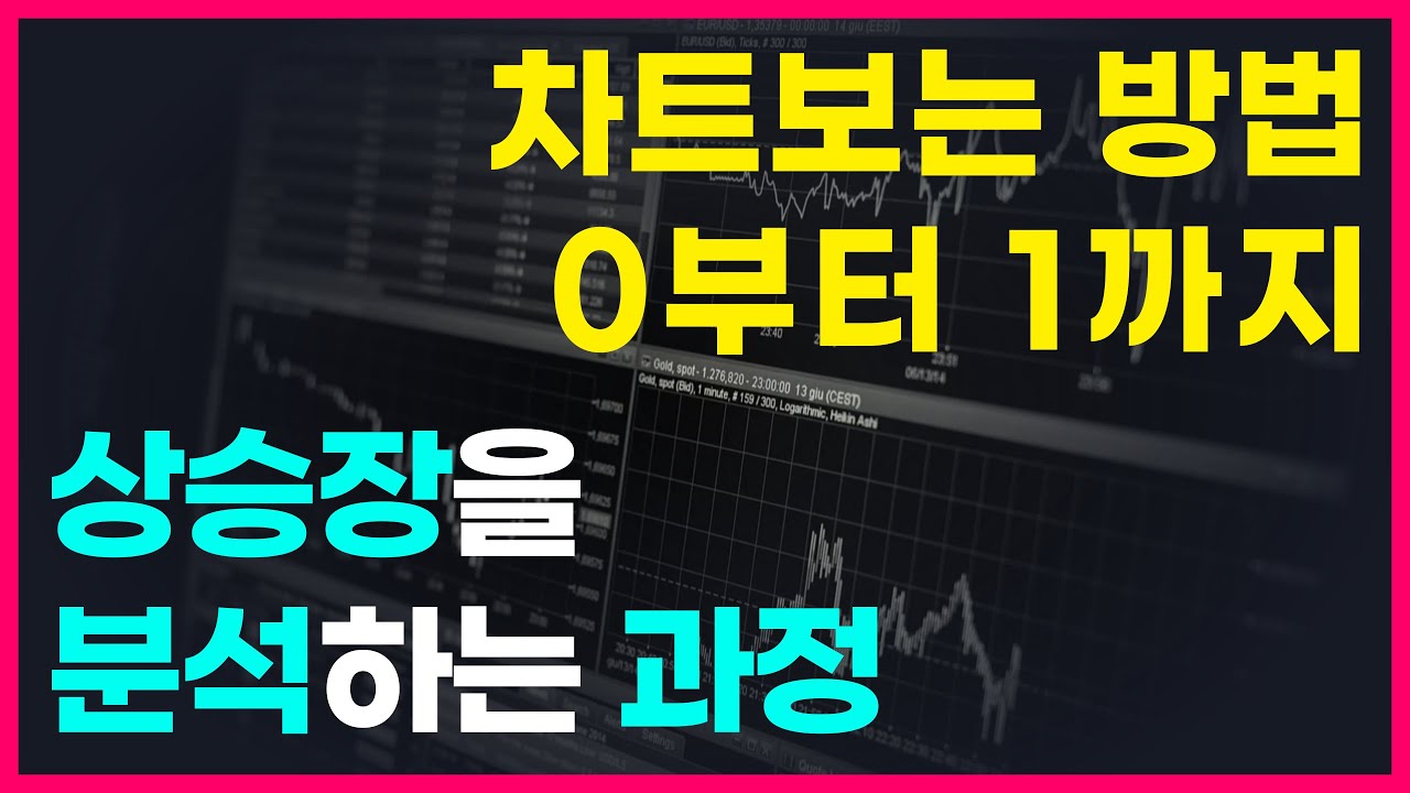 매번 비트코인 바닥을 잘 맞추는 진짜 트레이더에게 배우세요.