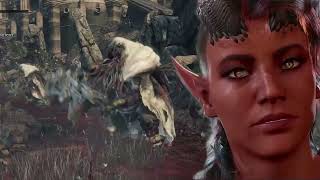 Twitch Stream 5Aug26