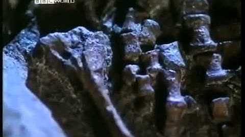 The Missing Link BBC Documentary 360p