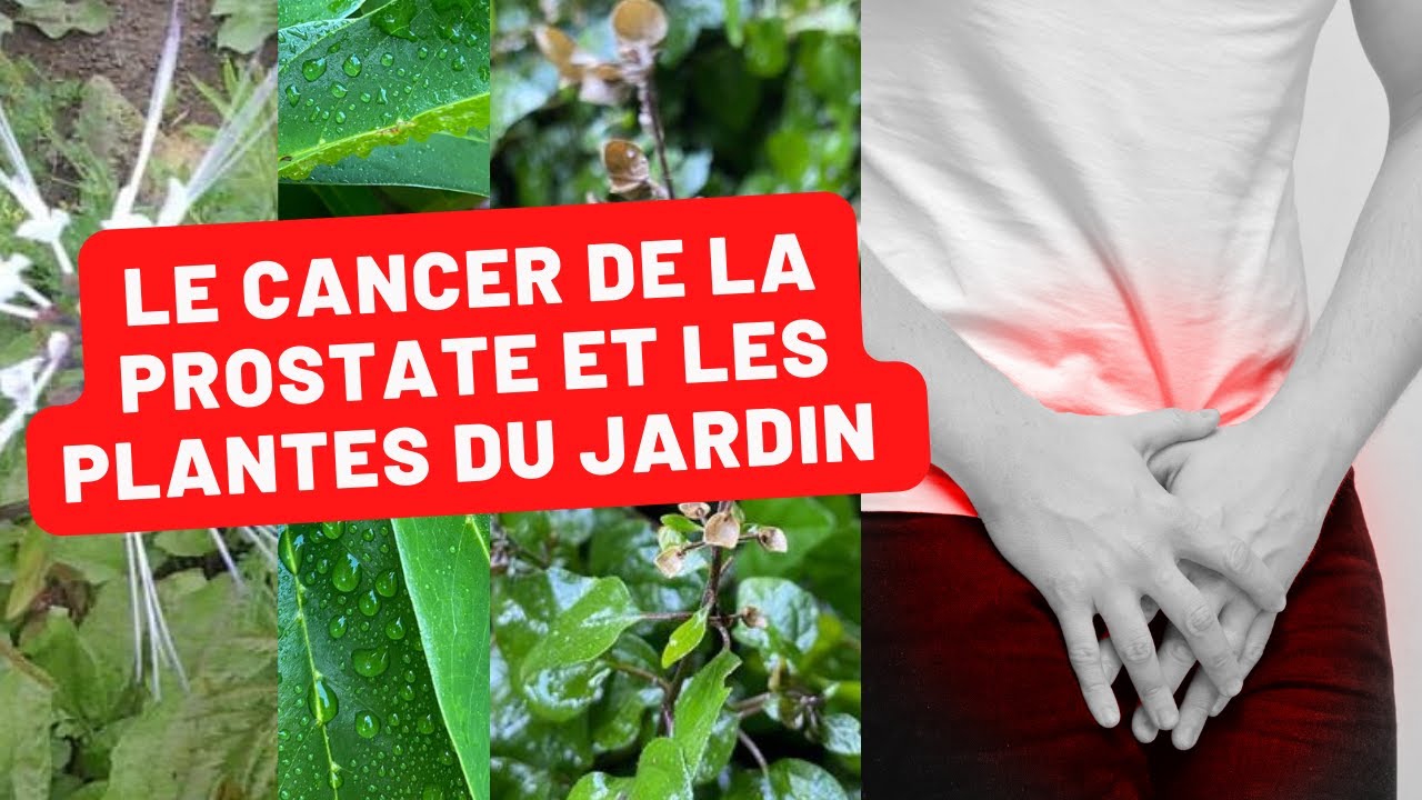 Jardin Créole et Santé Masculine Les Plantes qui Combattent le Cancer — free download