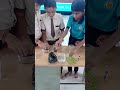science std 8 che 1 activity